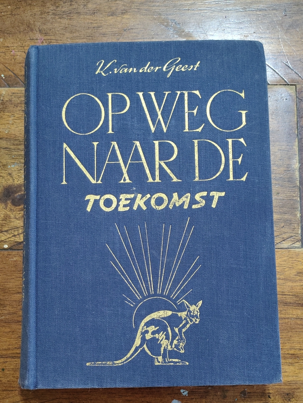 Op Weg naar de Toekomst - Navy Blue Cloth Vintage Dutch Book By Geest